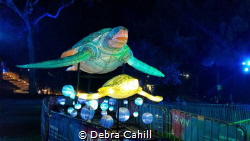 As part of this years Taronga Zoo Vivid a light sculpture... by Debra Cahill 
